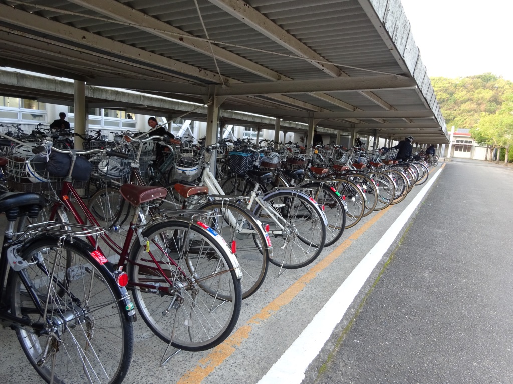 松山市高校自転車通学許可後ろ